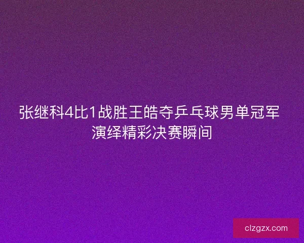 张继科4比1战胜王皓夺乒乓球男单冠军 演绎精彩决赛瞬间